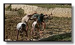 Powaqqatsi (07).JPG