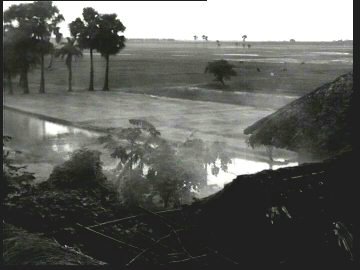 A37.jpg