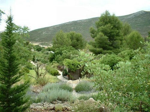 paisaje_8.jpg