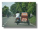 Jeepneys-Triciclos (01).jpg