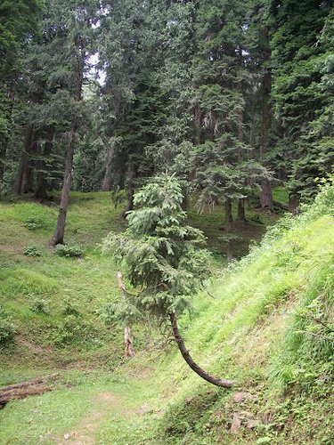 Gulmarg (31).JPG