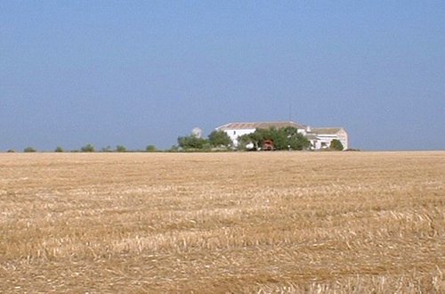 Paisaje manchego