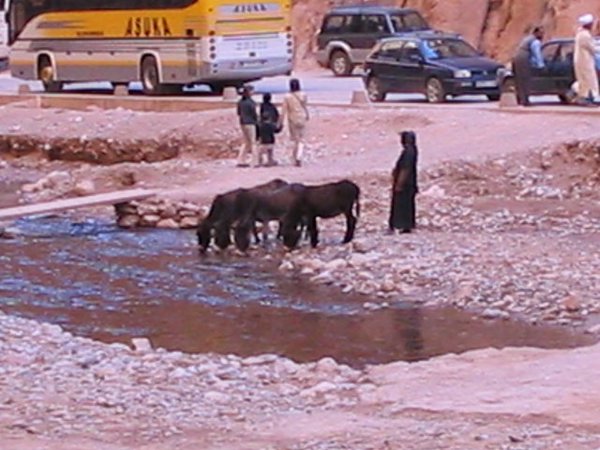 Desierto-de-Marruecos (58).jpg