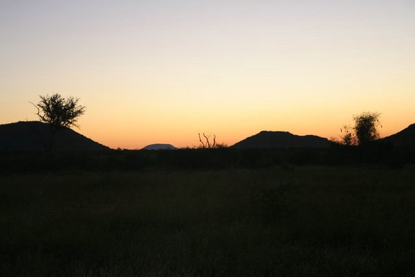 Madikwe-Game-Reserve (50).JPG