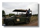 Madikwe-Game-Reserve (78).JPG