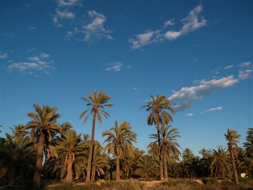 Castellón