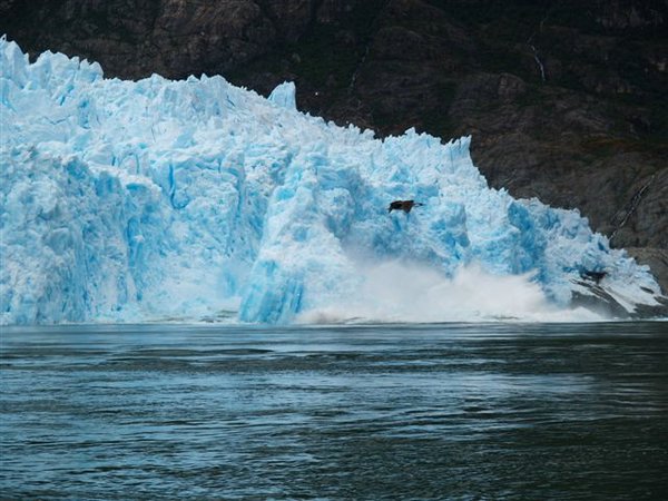 Glaciares-de-la-patagonia (128).JPG