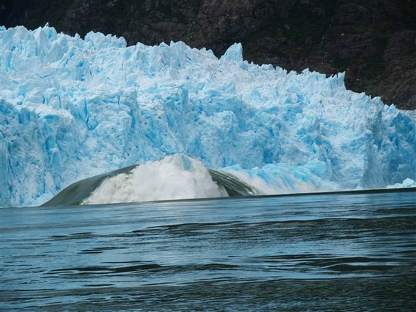 Glaciares-de-la-patagonia (139).JPG