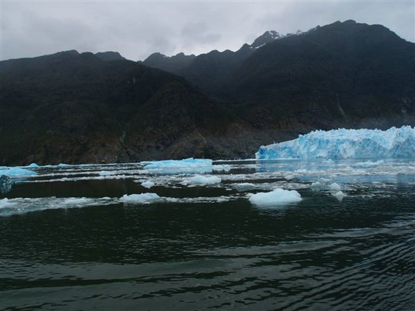 Glaciares-de-la-patagonia (175).JPG