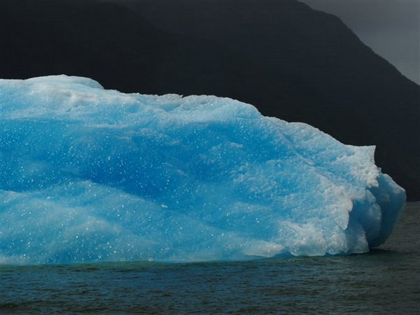 Glaciares-de-la-patagonia (18).jpg