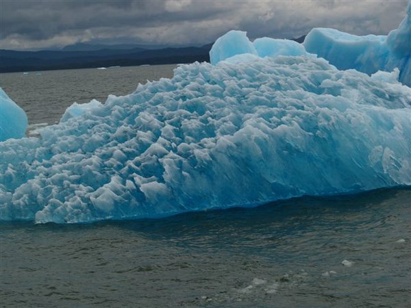 Glaciares-de-la-patagonia (25).jpg