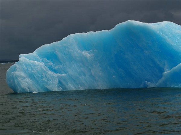 Glaciares-de-la-patagonia (26).jpg