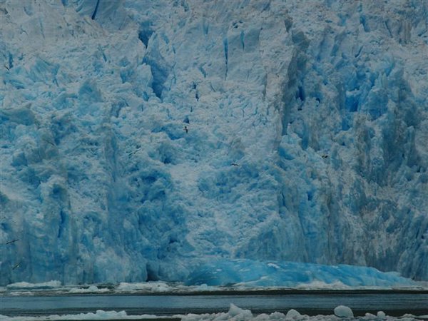 Glaciares-de-la-patagonia (38).jpg