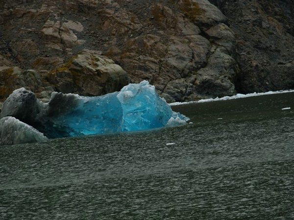 Glaciares-de-la-patagonia (51).jpg