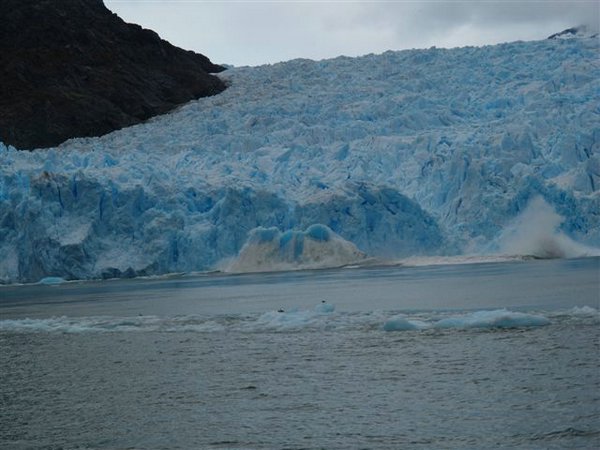 Glaciares-de-la-patagonia (60).jpg