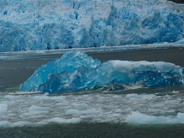 Glaciares-de-la-patagonia (69).jpg