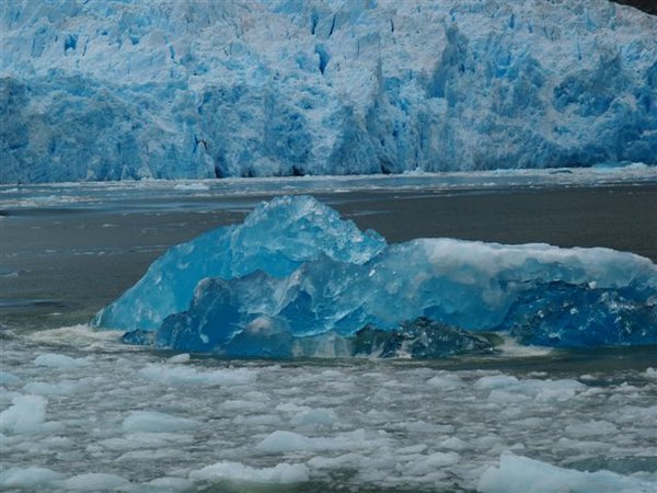 Glaciares-de-la-patagonia (70).jpg