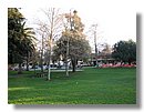 Parque-Palo-Alto (01).jpg