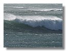 surf-point-arena (12).jpg