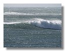 surf-point-arena (13).jpg