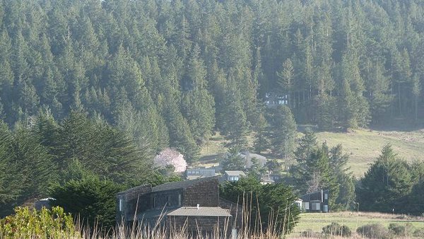 sea-ranch (41).jpg