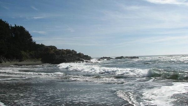 sea-ranch (45).jpg