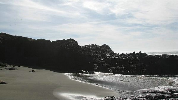 sea-ranch (47).jpg