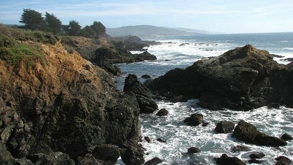 sea-ranch (50).jpg