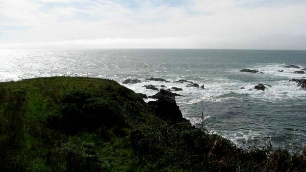 sea-ranch (51).jpg