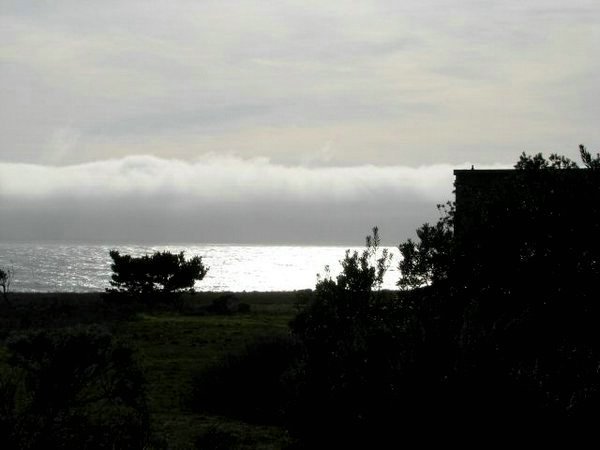 sea-ranch (53).jpg