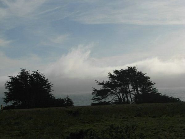 sea-ranch (54).jpg