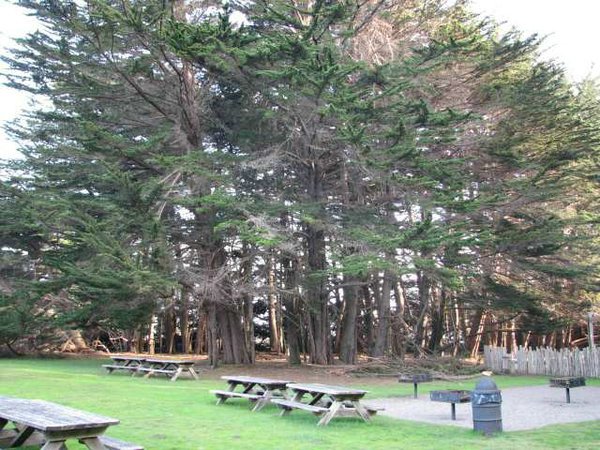 sea-ranch (55).jpg