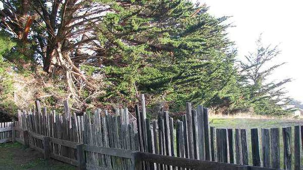 sea-ranch (57).jpg