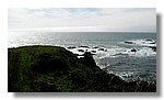 sea-ranch (51).jpg