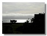 sea-ranch (53).jpg