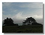 sea-ranch (54).jpg