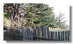 sea-ranch (57).jpg