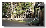 sea-ranch (59).jpg