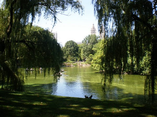 Central-Park (84).JPG