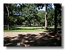 Central-Park (68).JPG