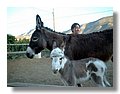 burros (6).jpg