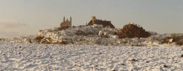 Olvera-Nieve.jpg