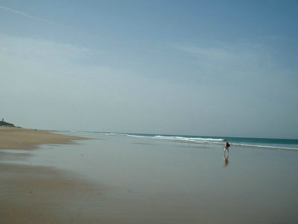 Playas de Cádiz: Playa de la Barrosa, Sancti Petri