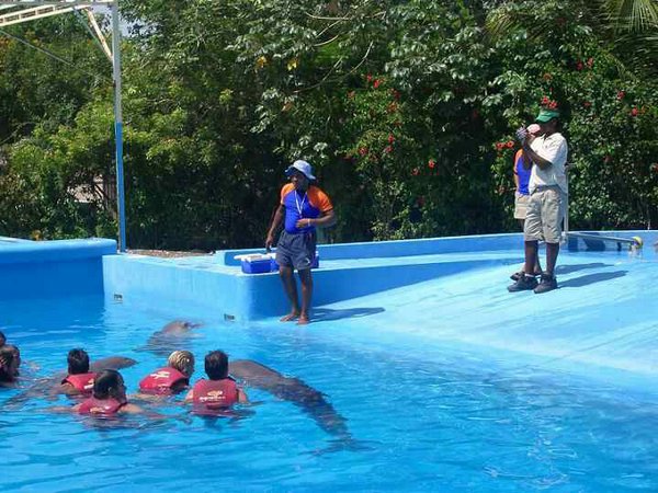 natacion-con-delfines (08).jpg