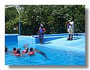 natacion-con-delfines (08).jpg