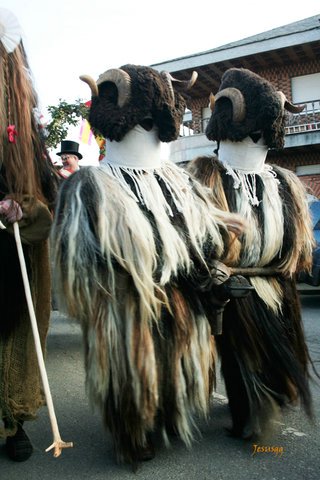 Carnaval-Llamas-de-la-Ribera (24).jpg