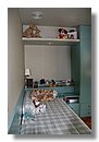 Dormitorio-infantil (01).jpg