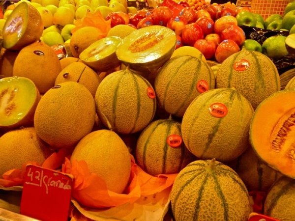 Fotos de Frutas: Melones