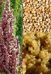 quinoa (19).jpg