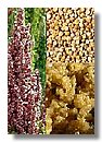 quinoa (19).jpg